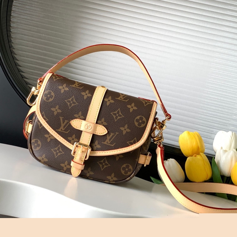 LV Satchel bags